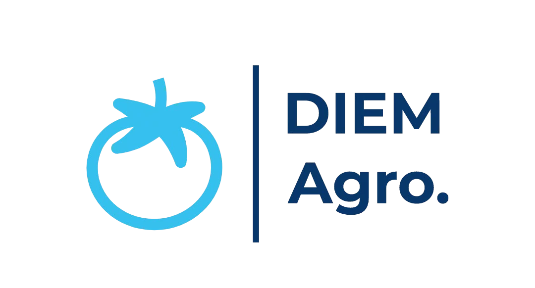 Logo-removebg